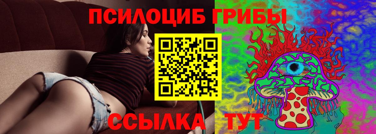 Уварово  Галлюциногенные грибы Psilocybine cubensis  Вход с VPN 