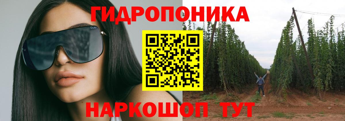 Марихуана сатива  Каннабис индика  Уварово  Канабис Bruce Banner  Вход с VPN 